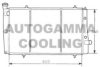 AUTOGAMMA 100445 Radiator, engine cooling